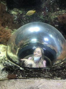 Inside the aquarium... quite literally 