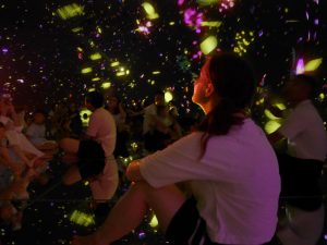 This room had a dome like ceiling, and a mirror floor, with flowers constantly being projected around the dome. the effect were very cool, but also made me feel a little seasick.