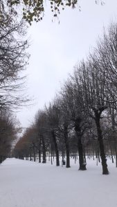 Augarten 