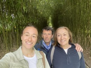 Bamboo