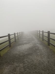 Rainy day in the Yangmingshan mountains