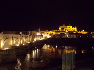 Cordoba Skyline at Night