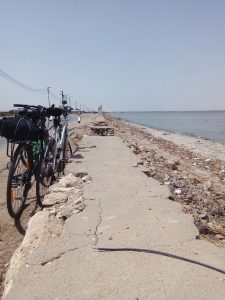 I've visited a few of Egypt's lakes and waterways and the effects of pollution are often very visible