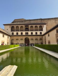 IMG_0215
