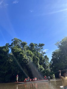 The canals of Tortuguero National Park