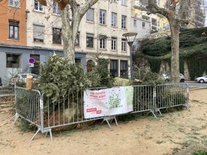 Recycler ton sapin : Recycle your Christmas tree!