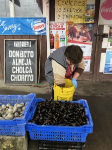 Fresh catch in Dalcahue 