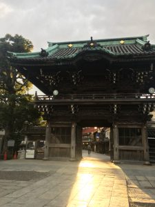 IMG_4935