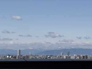 View from on of the university buildings