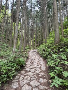 portion of the Nakasendo route we walked