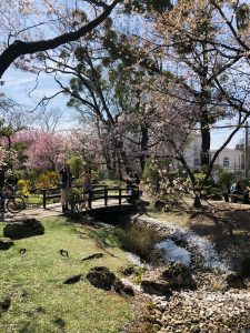 Setagaya Park 