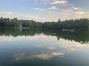 Image_20250614132845