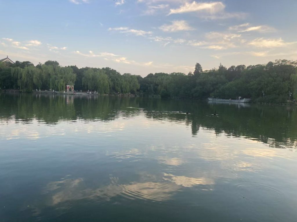 Image_20250614132845