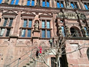 My brother and I visiting Heidelberg Castle