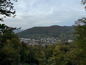 View of Heidelberg