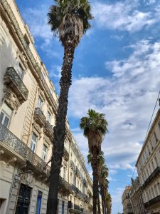 Le centre-ville de Montpellier 