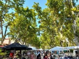 Market in the city