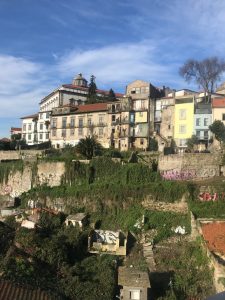 Porto houses