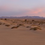 Sand dunes in the Semi-Gobi