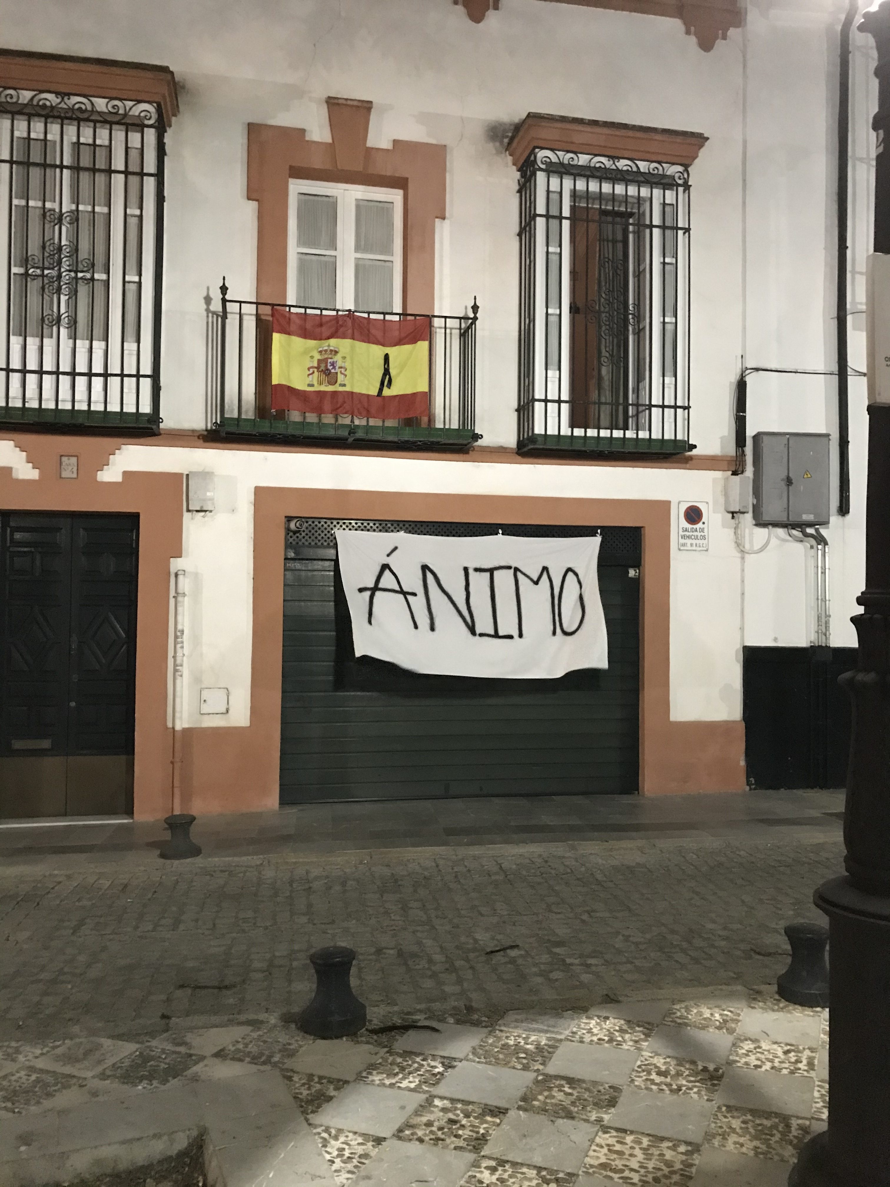 animo