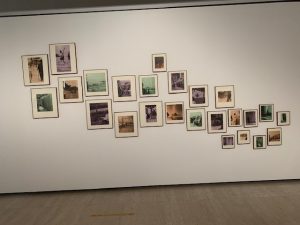 Coleccion de Vulnerabilidad(es) en el museo