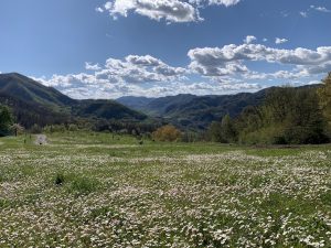 La vista dal Monte Sole