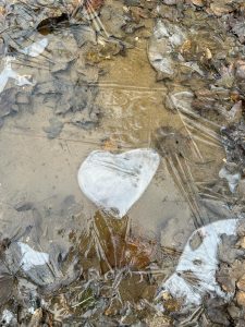 ice heart