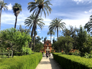 The Alcazar gardens in Seville