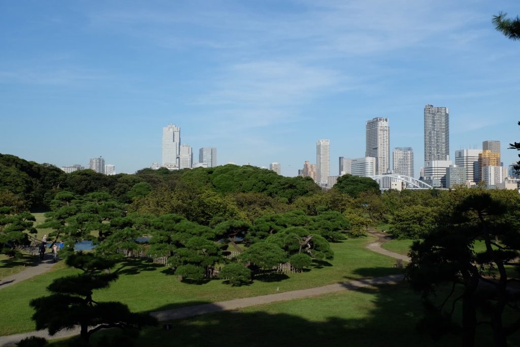 It doesn't look real does it? I promise that it is not photoshopped though, this is an actual view from a small hill in the Hamarikyu gardens.