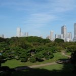It doesn't look real does it? I promise that it is not photoshopped though, this is an actual view from a small hill in the Hamarikyu gardens.