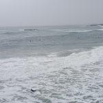 April surfers