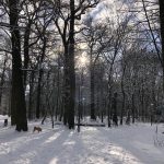 IMG_0056