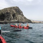 Having fun kayaking!