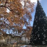 IMG_4050