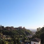 IMG_8427