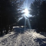 We have to hike for quite a while for us to find this!