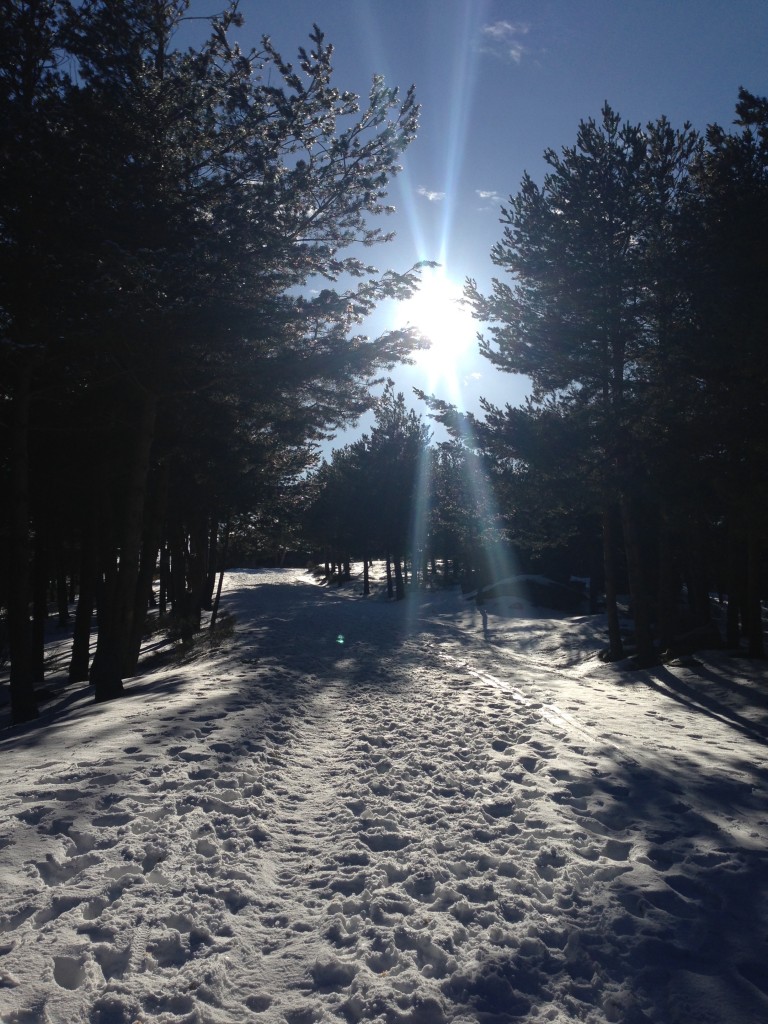 We have to hike for quite a while for us to find this!