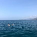 Relaxing in the Med!